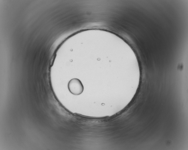 X0000112071336200909151039