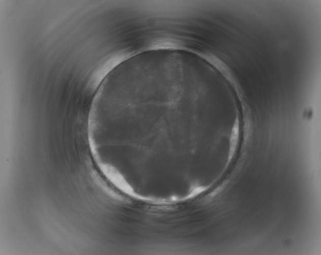 X0000112071337200909151039