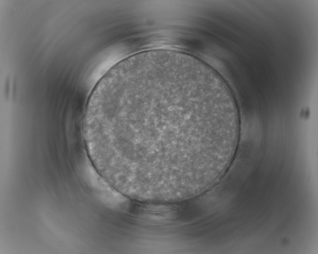 X0000112071338200909151039