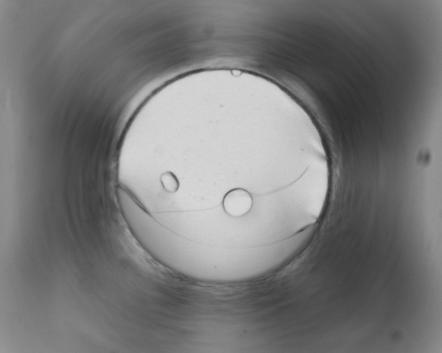 X0000112071340200909151039