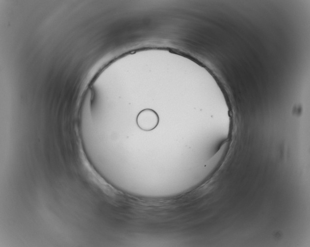 X0000112071342200909151039