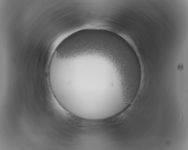 X0000112071344200909151040