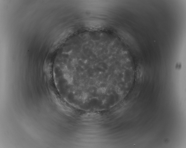 X0000112071346200909151039