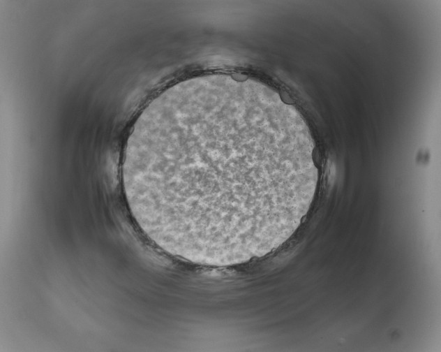X0000112071348200909151039