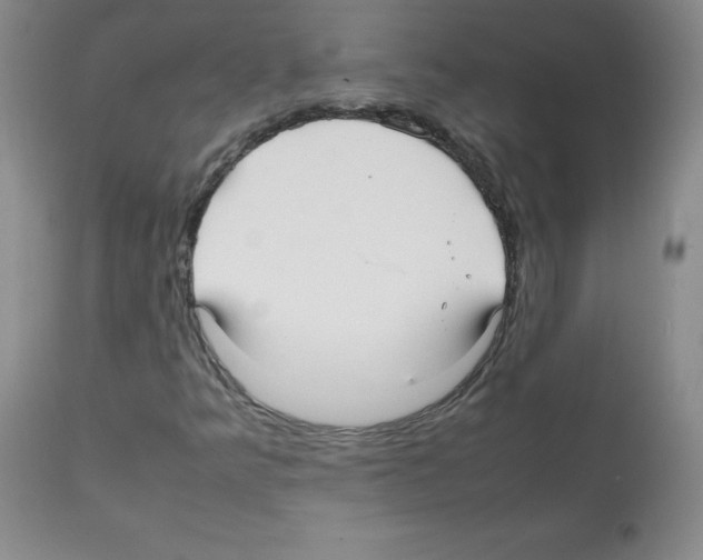 X0000112071349200909151039