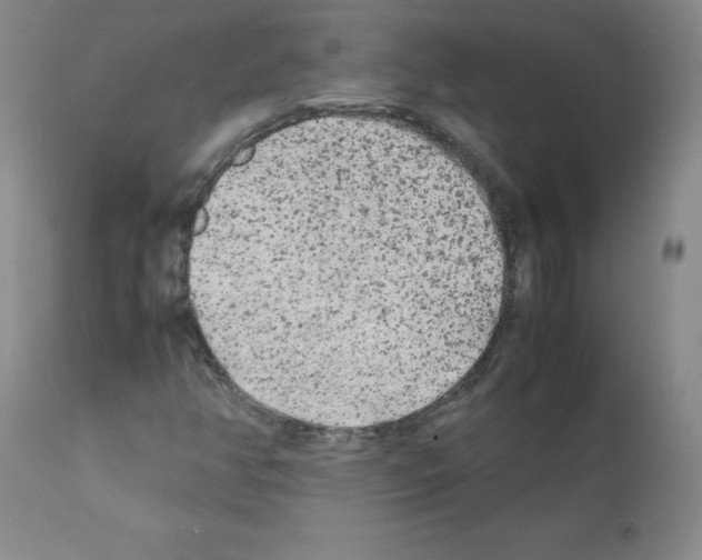 X0000112071350200909151039
