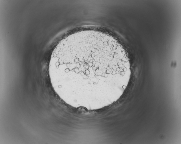 X0000112071351200909151039