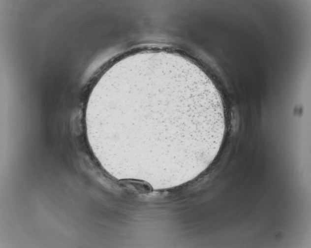 X0000112071352200909151039