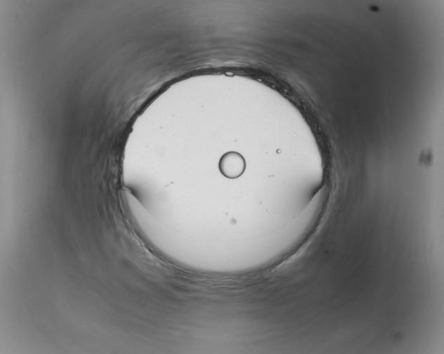 X0000112071353200909151039