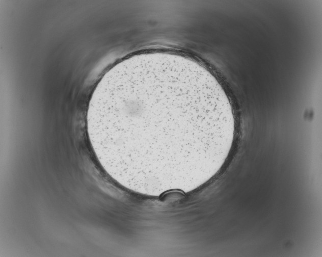 X0000112071355200909151039