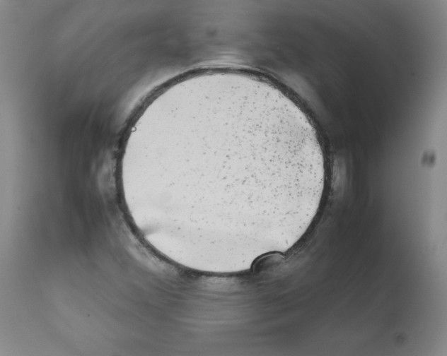 X0000112071356200909151039