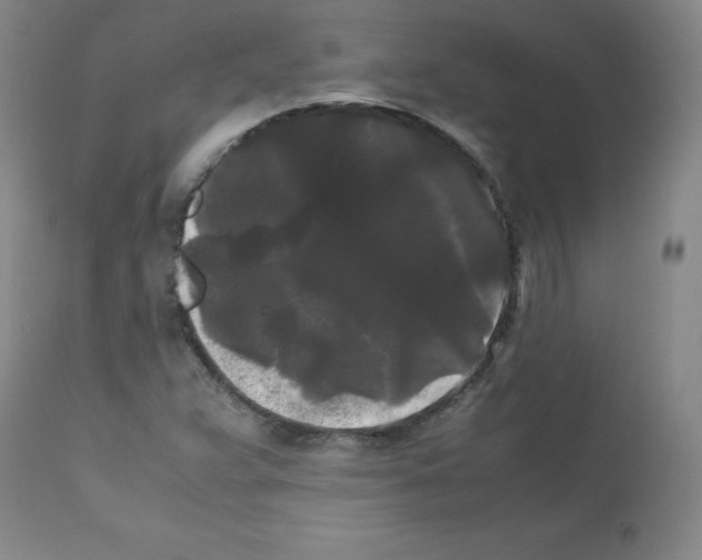 X0000112071359200909151039