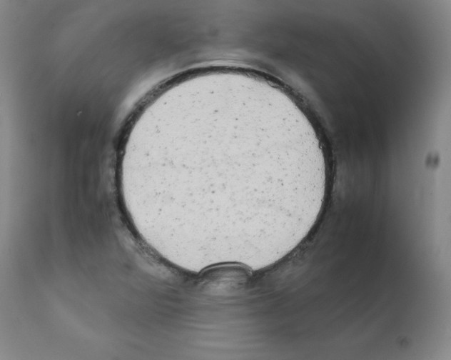 X0000112071360200909151039