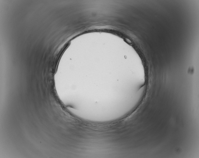X0000112071361200909151039