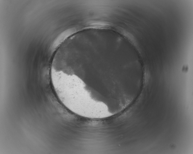 X0000112071362200909151039