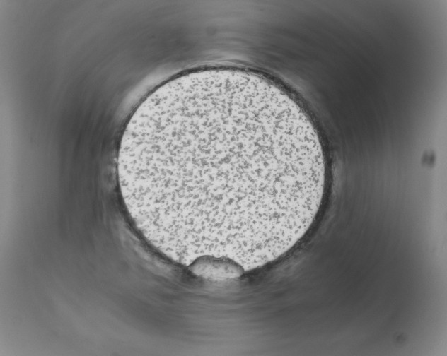 X0000112071363200909151039