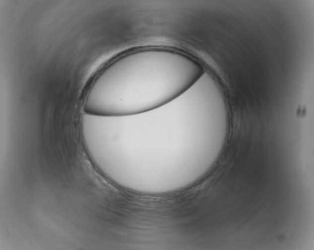 X0000112071364200909151039