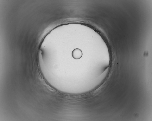 X0000112071365200909151039