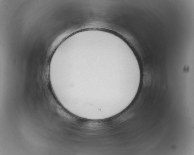 X0000112071366200909151039