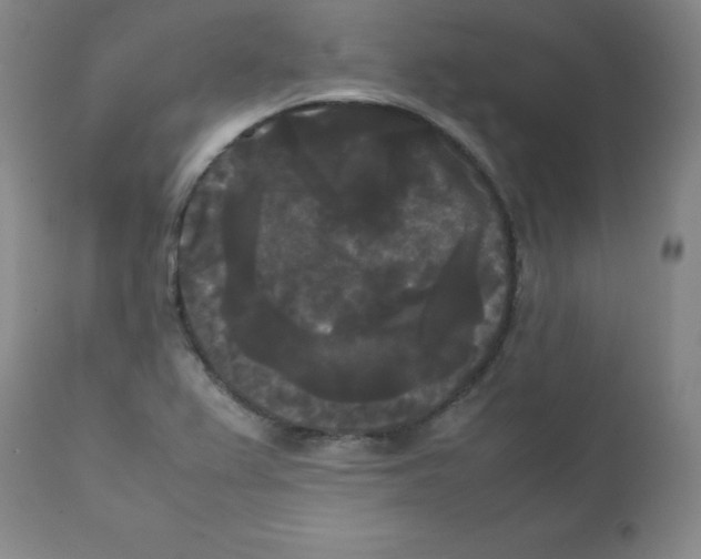 X0000112071367200909151039