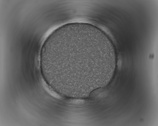 X0000112071372200909151038