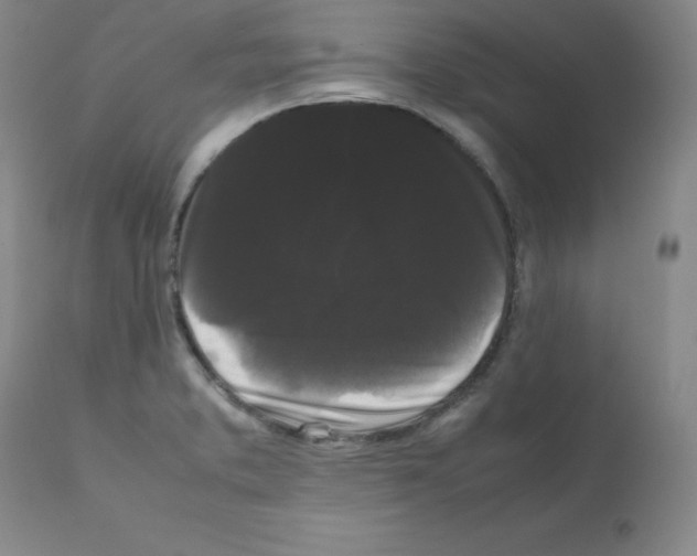 X0000112071373200909151038