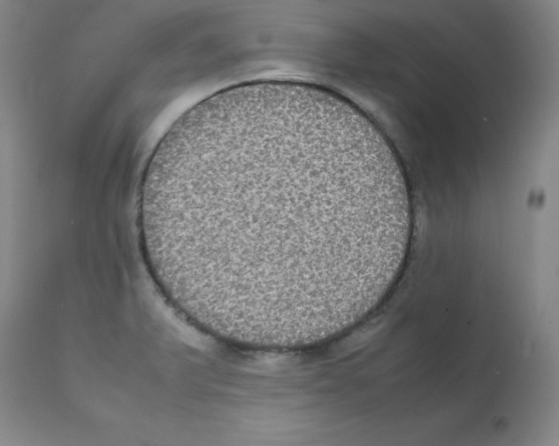 X0000112071375200909151038