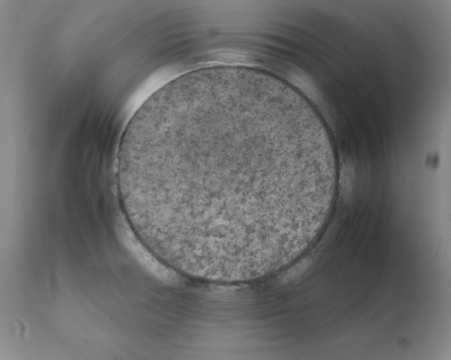 X0000112071378200909151038