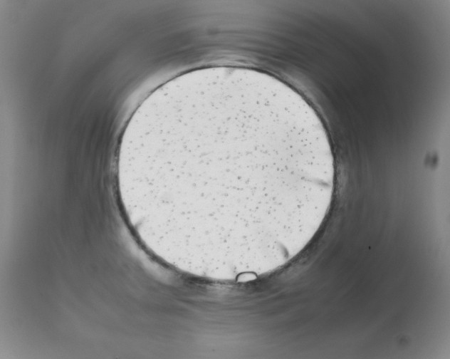 X0000112071379200909151038