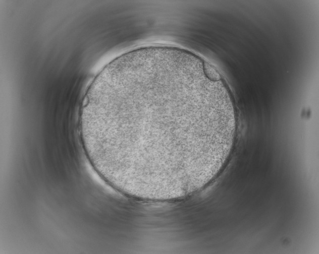 X0000112071382200909151038