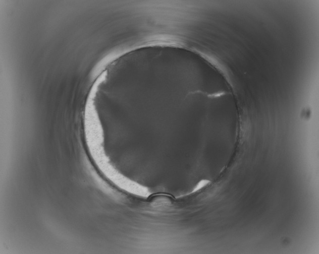 X0000112071383200909151038