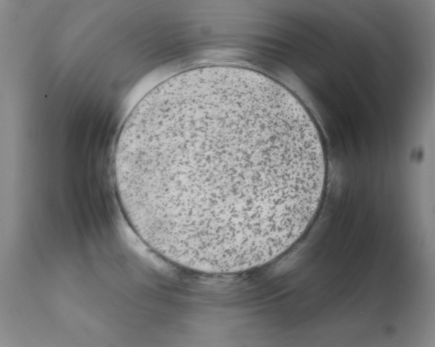 X0000112071386200909151038