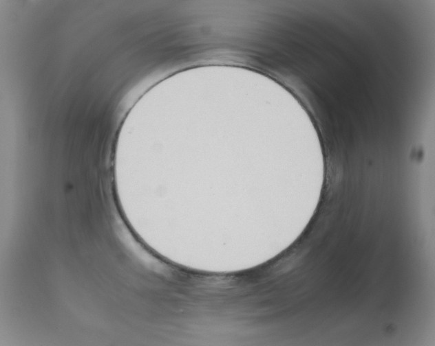 X0000112071387200909151038