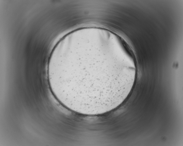 X0000112071388200909151038