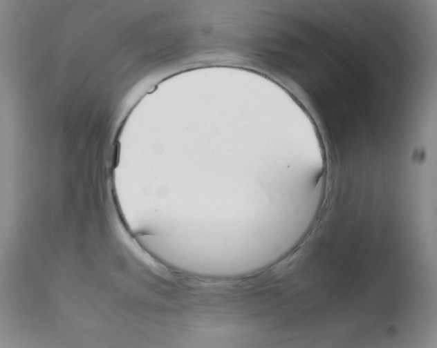 X0000112071389200909151038