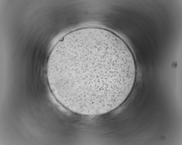 X0000112071390200909151038