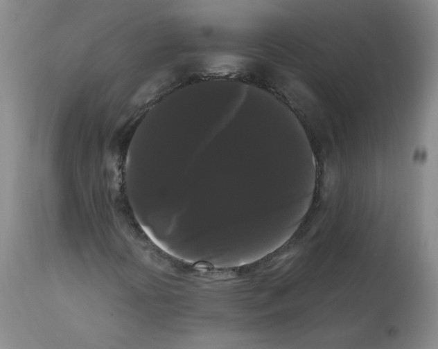 X0000112071394200909151038