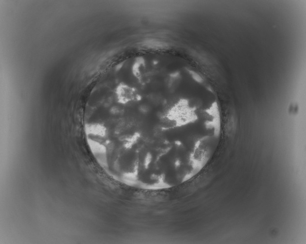 X0000112071397200909151038