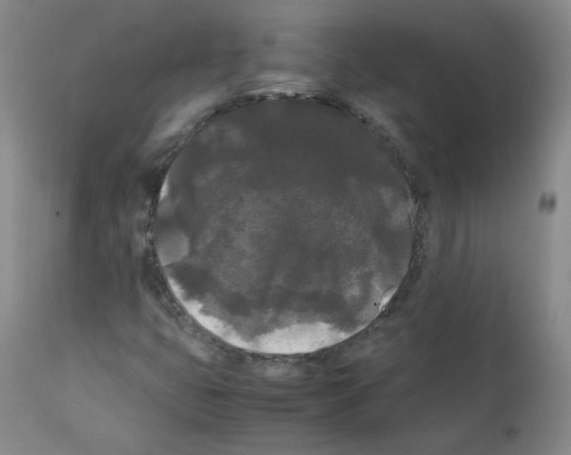 X0000112071399200909151038