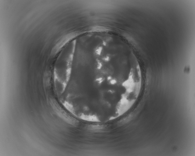 X0000112071401200909151038