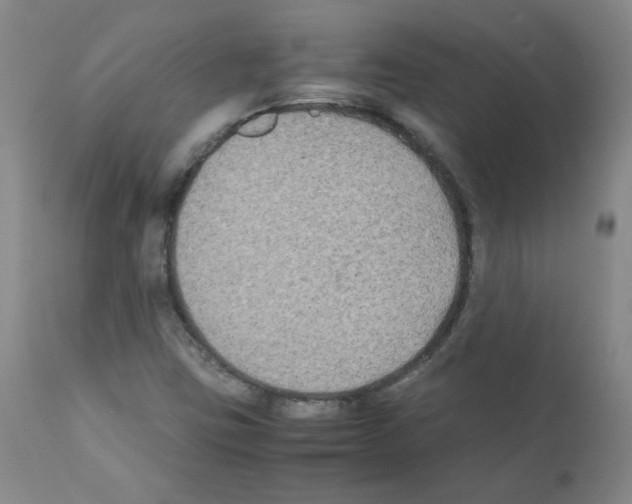 X0000112071403200909151038