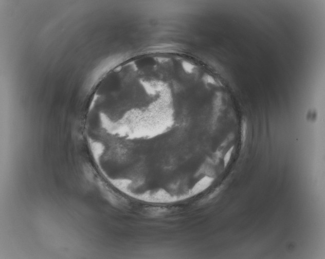 X0000112071405200909151038
