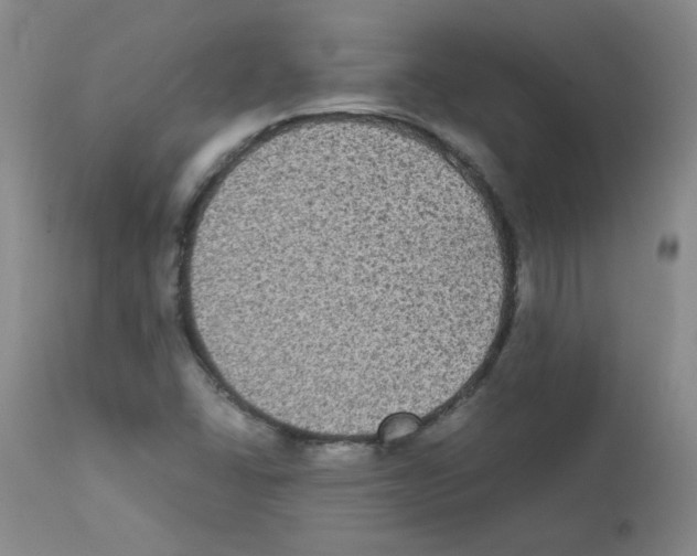 X0000112071406200909151038