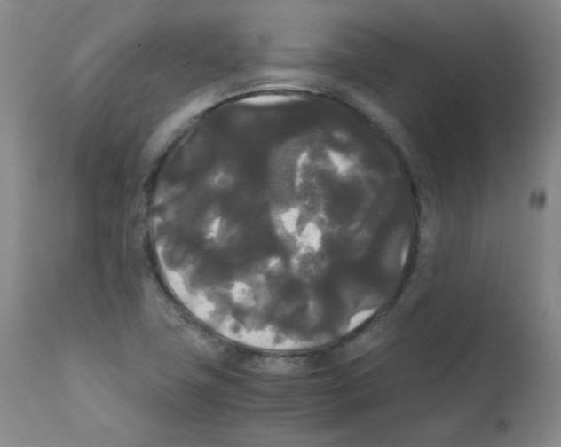 X0000112071411200909151038