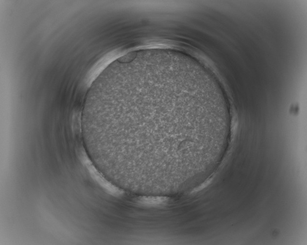 X0000112071417200909151038