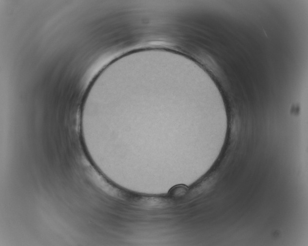 X0000112071420200909151038
