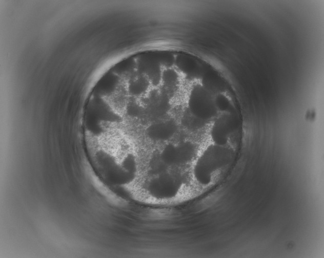 X0000112071421200909151038