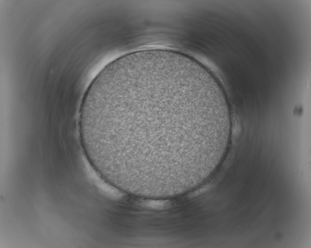 X0000112071423200909151038