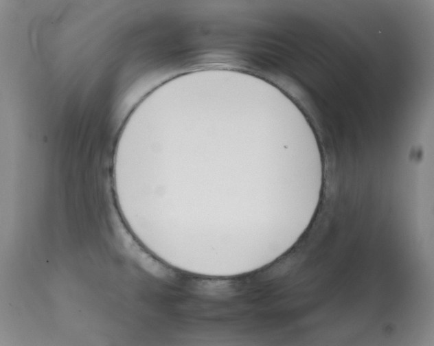 X0000112071431200909151038