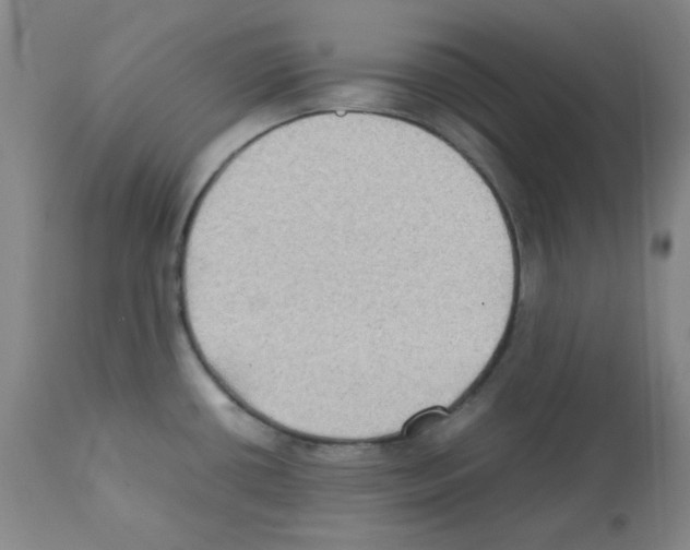 X0000112071434200909151038